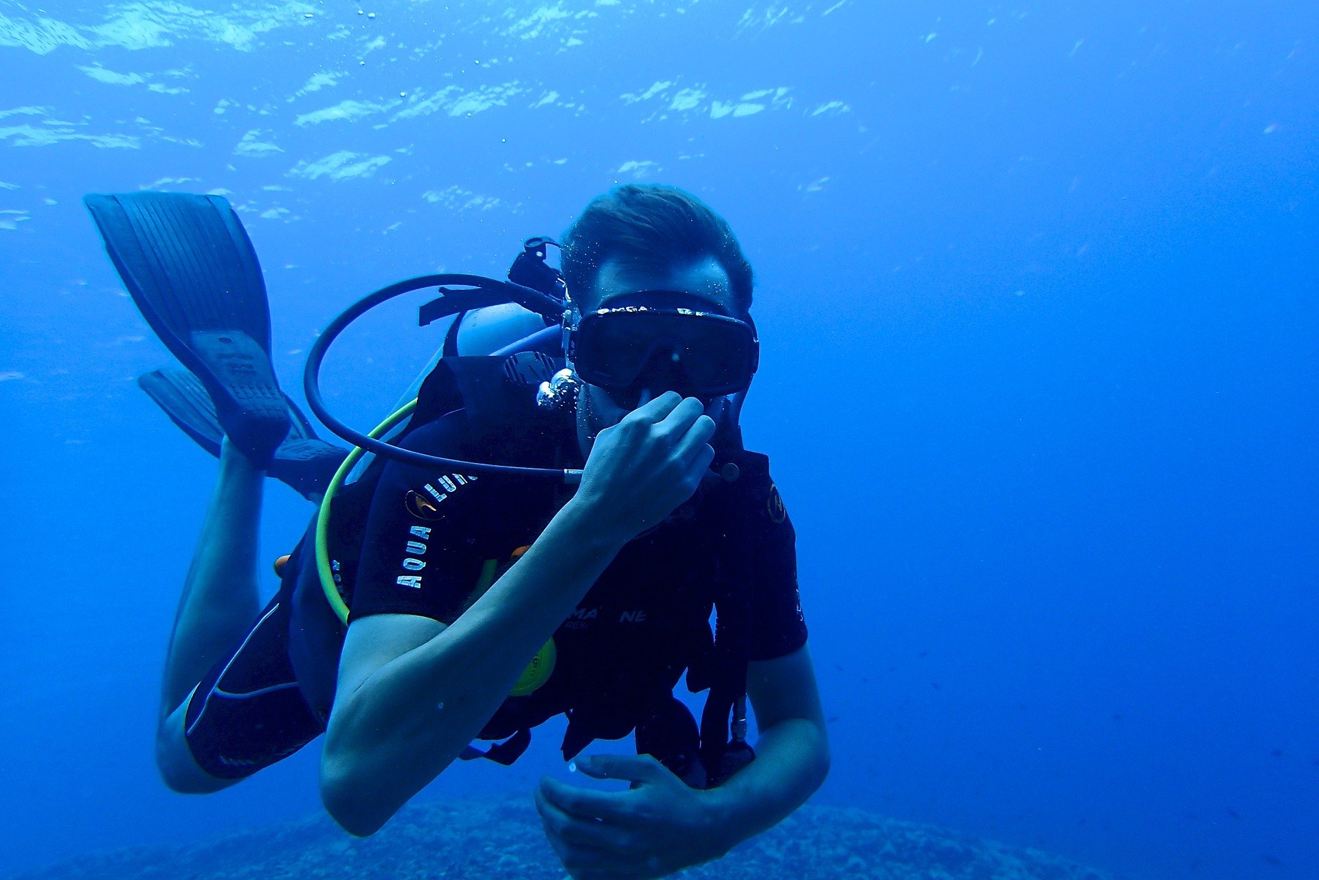 diving-1049477_1920.jpg