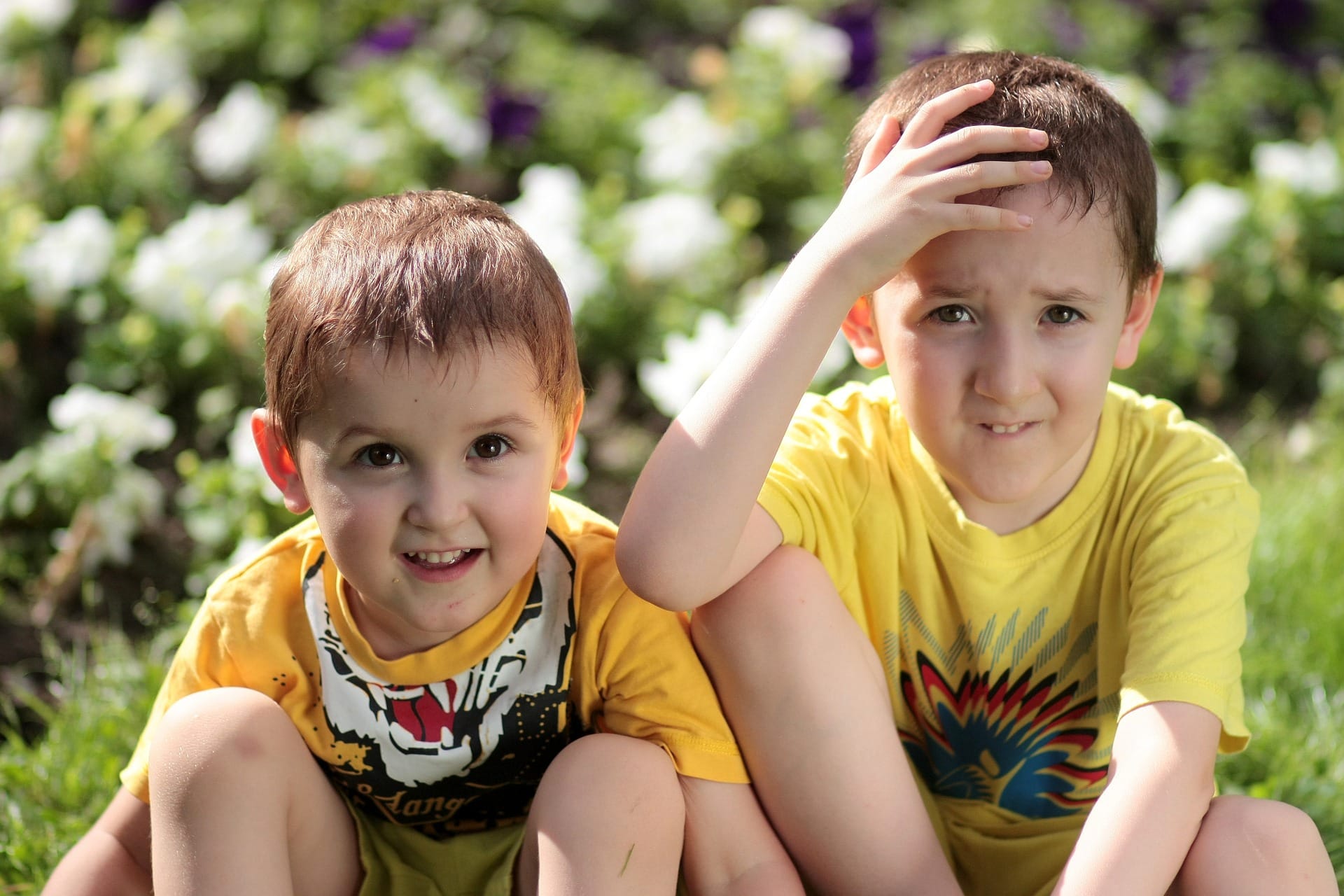 brothers-1507696_1920.jpg